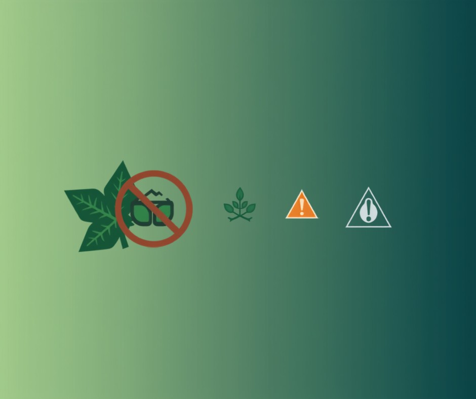 Greenwashing 2026: qué alegaciones verdes quedan prohibidas y cómo evitar sanciones